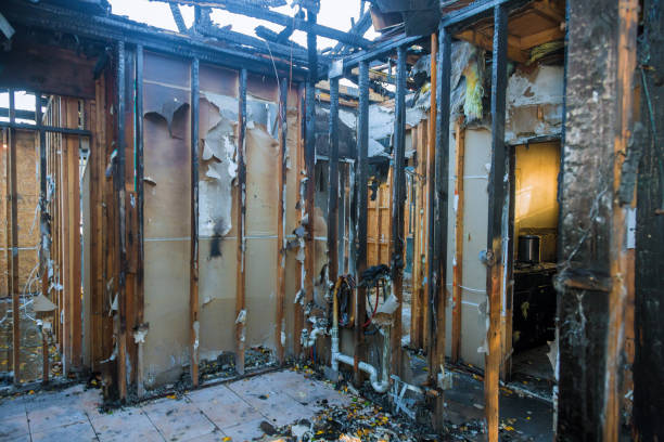 Professional Fire Damage Removal technician working in Milton, WA
